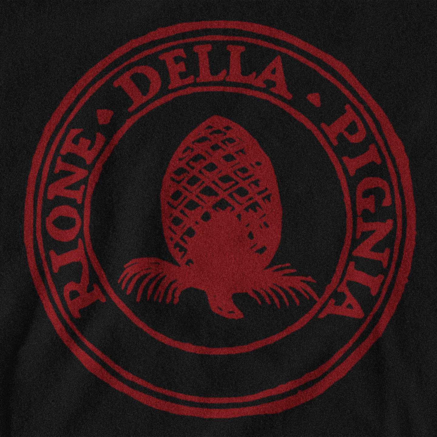 Maglietta Rione Pigna (IX) giallorossa