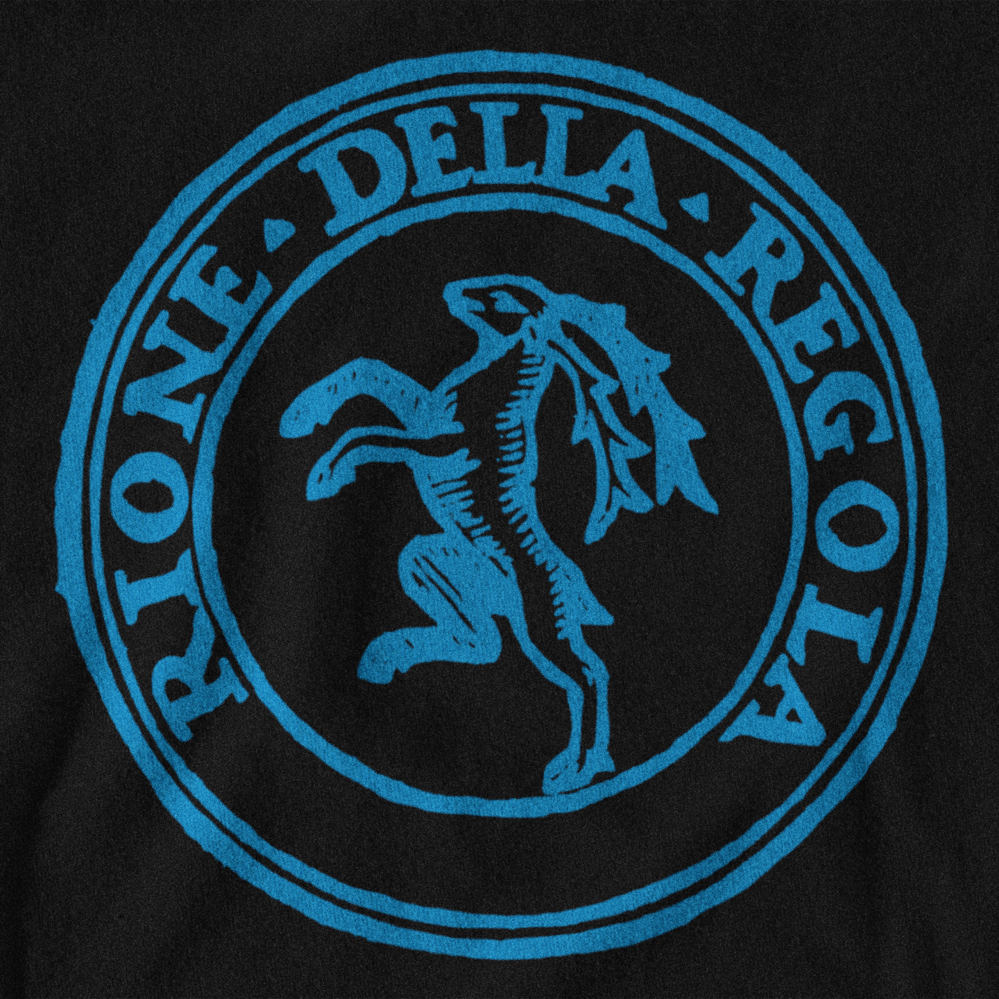 Maglietta Rione Regola (VII) biancoceleste